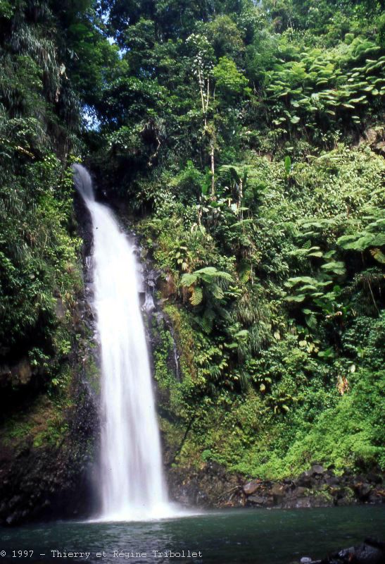Chutes Didier