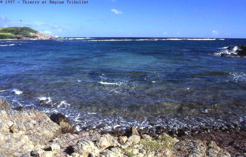 Pointe des Salines
