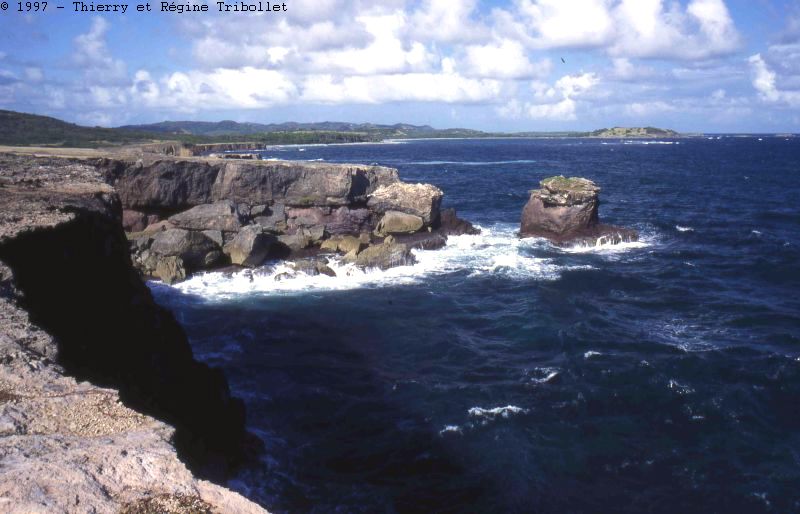 Pointe des Salines