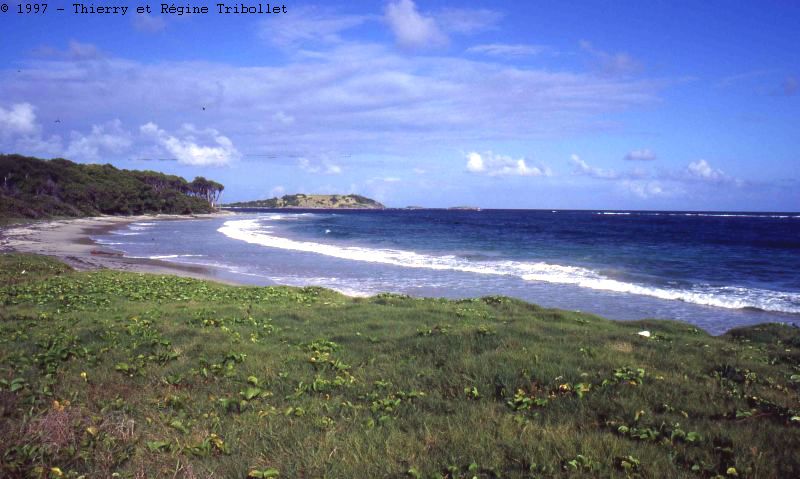 Pointe des Salines